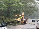 Storm damage fallen trees